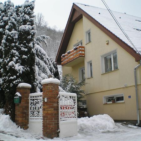 Villa Harmonia Panzio Visegrád Εξωτερικό φωτογραφία