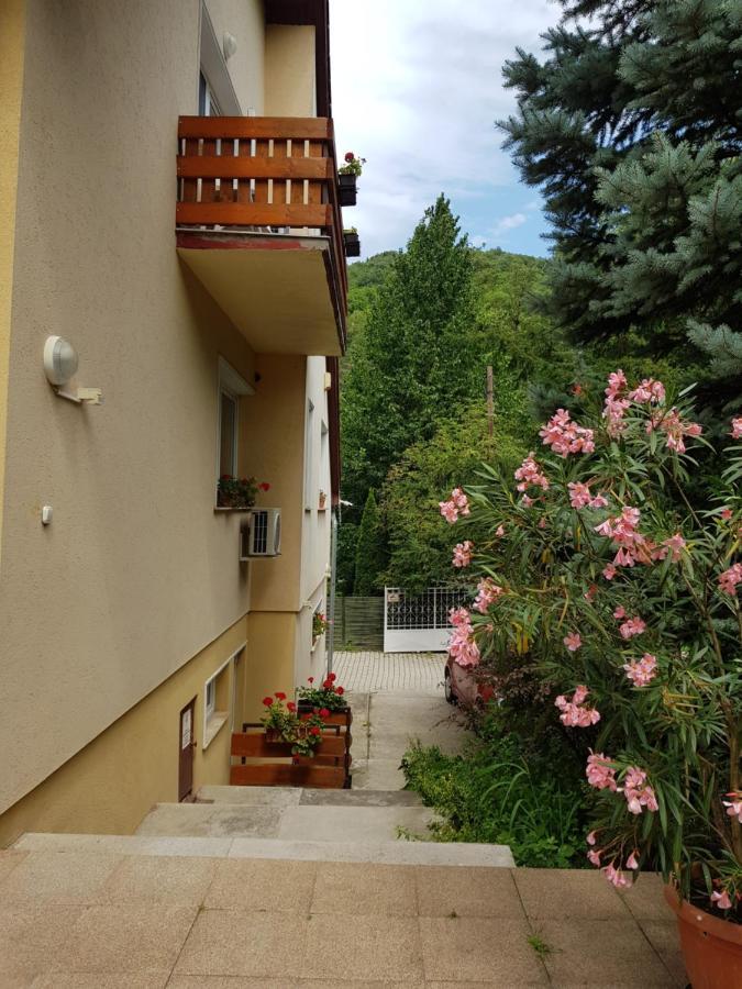 Villa Harmonia Panzio Visegrád Εξωτερικό φωτογραφία